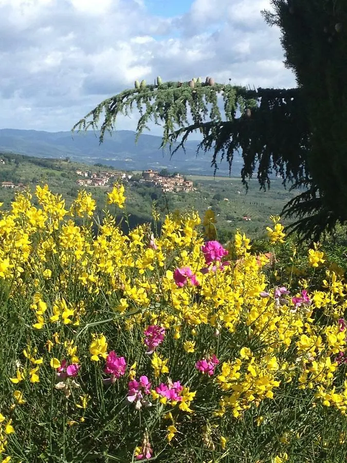 Guest house Il Ghiro Hotel Montevarchi